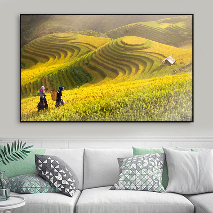 Tranh phong cảnh mùa vàng Tây Bắc