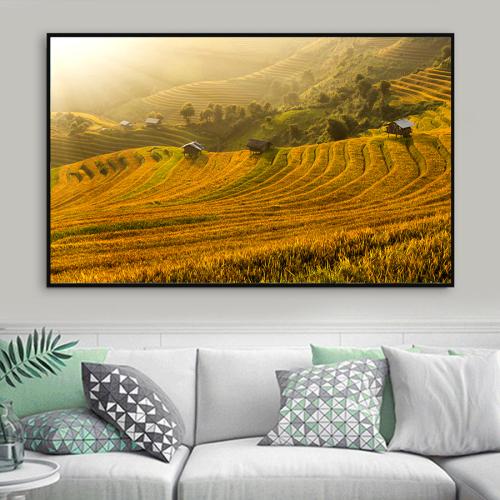 Tranh phong cảnh ruộng bậc thang mùa lúa chín
